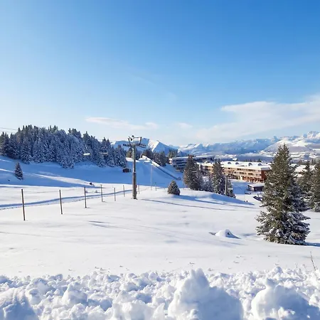 Cosy Avec Balcon Et Vue Sur La Montagne A - 19 M² Chamrousse